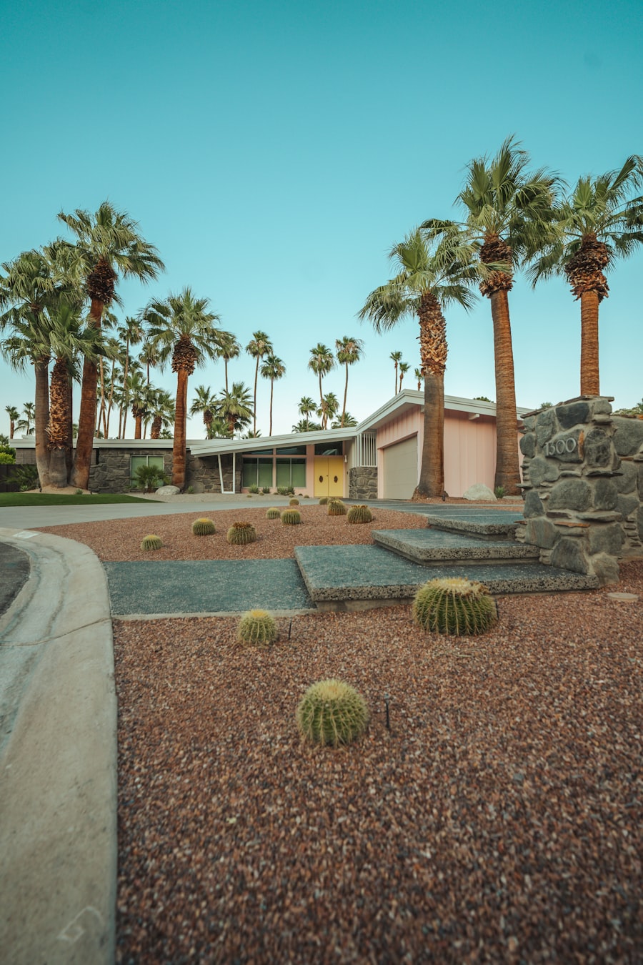 A desert ranch with a yellow door and cactus garden